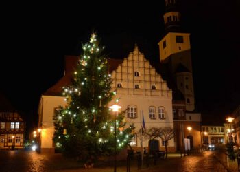 Weihnachtsbaum auf dem Rathausplatz in Gardelegen als Symbol für den traditionellen Standort des Weihnachtsmarktes, über dessen künftigen Austragungsort die Hansestadt derzeit in einer Bürgerumfrage abstimmen lässt.