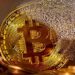 Bitcoin-Betrug: Mann aus dem Altmarkkreis verliert fünfstelligen Betrag