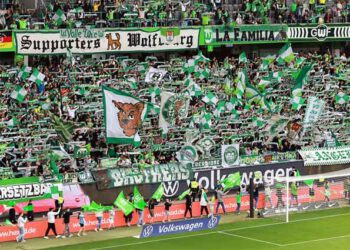 VfL Wolfsburg bleibt erstklassig