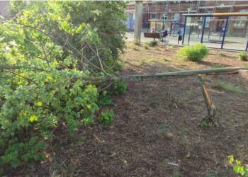 Wieder Baum abgeknickt – dieses Mal auf dem Bahnhofsvorplatz