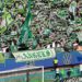 Zweite Heimniederlage: Ein Ex-Wolf schockt den VfL Wolfsburg