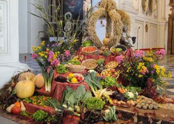 Pfarrer bittet um Gaben für Erntedankfestgottesdienst