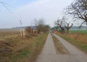 250 neue Bäume in Solpke, Berge, Estedt, Lindstedt und Gardelegen gepflanzt
