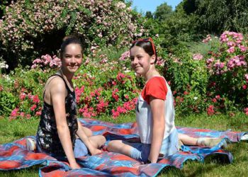 Gardelegen picknickt! Bist du dabei?