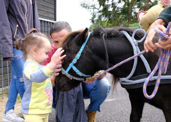 Sommerfest bei den Regenbogenknirpsen