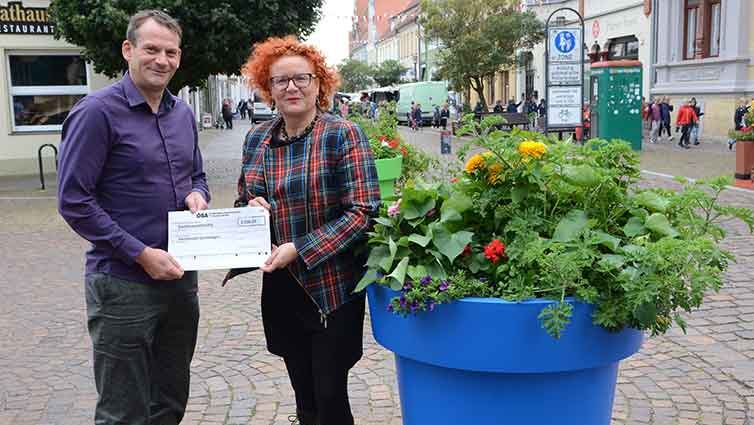Gardelegen pflanzt Frühling: 7.000 Tulpenzwiebeln werden für Blütenpracht sorgen