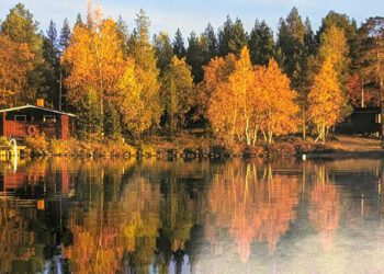 Von Elchen, Seen und Sauna: Multimedia-Show in der Bibliothek
