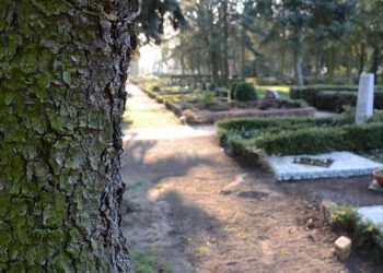 Überprüfung von rund 3500 Grabmalen ab 3. November