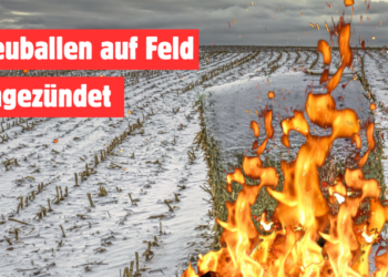Brennender Heuballen auf verschneitem Acker an der L27 bei Hemstedt im Altmarkkreis Salzwedel. Unbekannte Täter setzten am 12. Januar 2026 einen Heuballen in Brand / Symbolbild