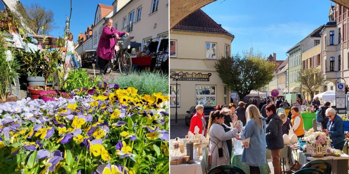 Frühlingsmarkt in Gardelegen: Besucher bummeln durch die Innenstadt, Stände mit Blumen, Osterdeko und regionalen Produkten, Wochenmarkt mit vielen Händlern.