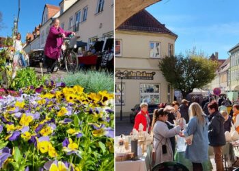 Frühlingsmarkt in Gardelegen: Besucher bummeln durch die Innenstadt, Stände mit Blumen, Osterdeko und regionalen Produkten, Wochenmarkt mit vielen Händlern.