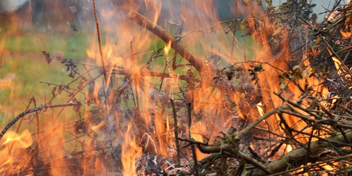 Brennendes Gartenfeuer – Symbolbild zum Verbrennen von Gartenabfällen im Altmarkkreis Salzwedel