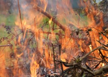 Brennendes Gartenfeuer – Symbolbild zum Verbrennen von Gartenabfällen im Altmarkkreis Salzwedel