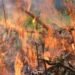 Brennendes Gartenfeuer – Symbolbild zum Verbrennen von Gartenabfällen im Altmarkkreis Salzwedel